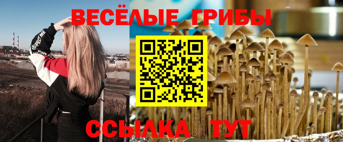 Псилоцибиновые грибы мухоморы Лысьва